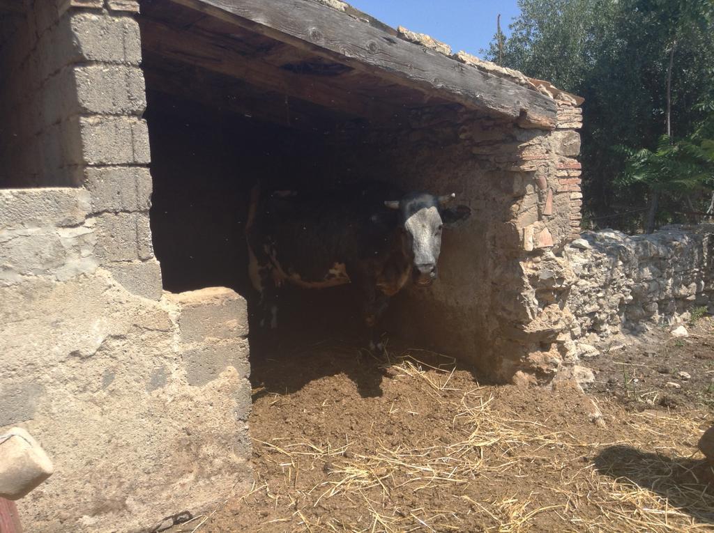 Vila Antico Frantoio Cerchiara di Calabria Exteriér fotografie